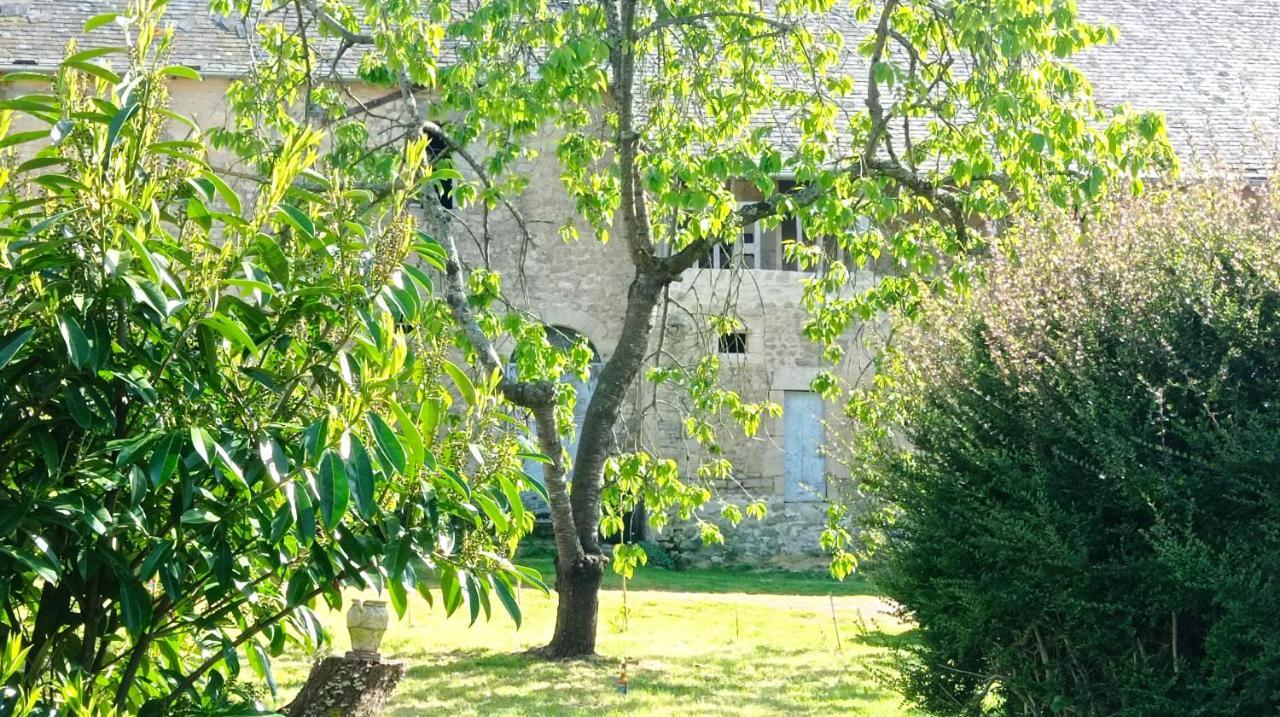 Maris Domus Pres Des Plages Du Debarquement Bayeux Bagian luar foto